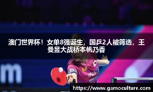 必一运动B·Sport